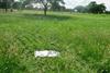 A low-cost drone to assess forage biomass