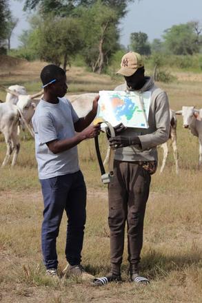 ©Cheick Traoré - Cheick Traoré, étudiant doctorant CaSSECS - Cheick Traoré en compagnie d’un éleveur ayant participé au dispositif lors de la restitution de la carte de déplacement de son troupeau
