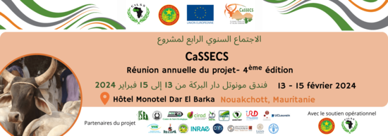Banderole réunion annuelle CaSSECS 2024